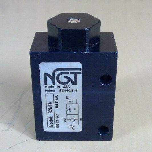 NGT - Model: B2MFM 150 Psi Max Check Valve                             6E